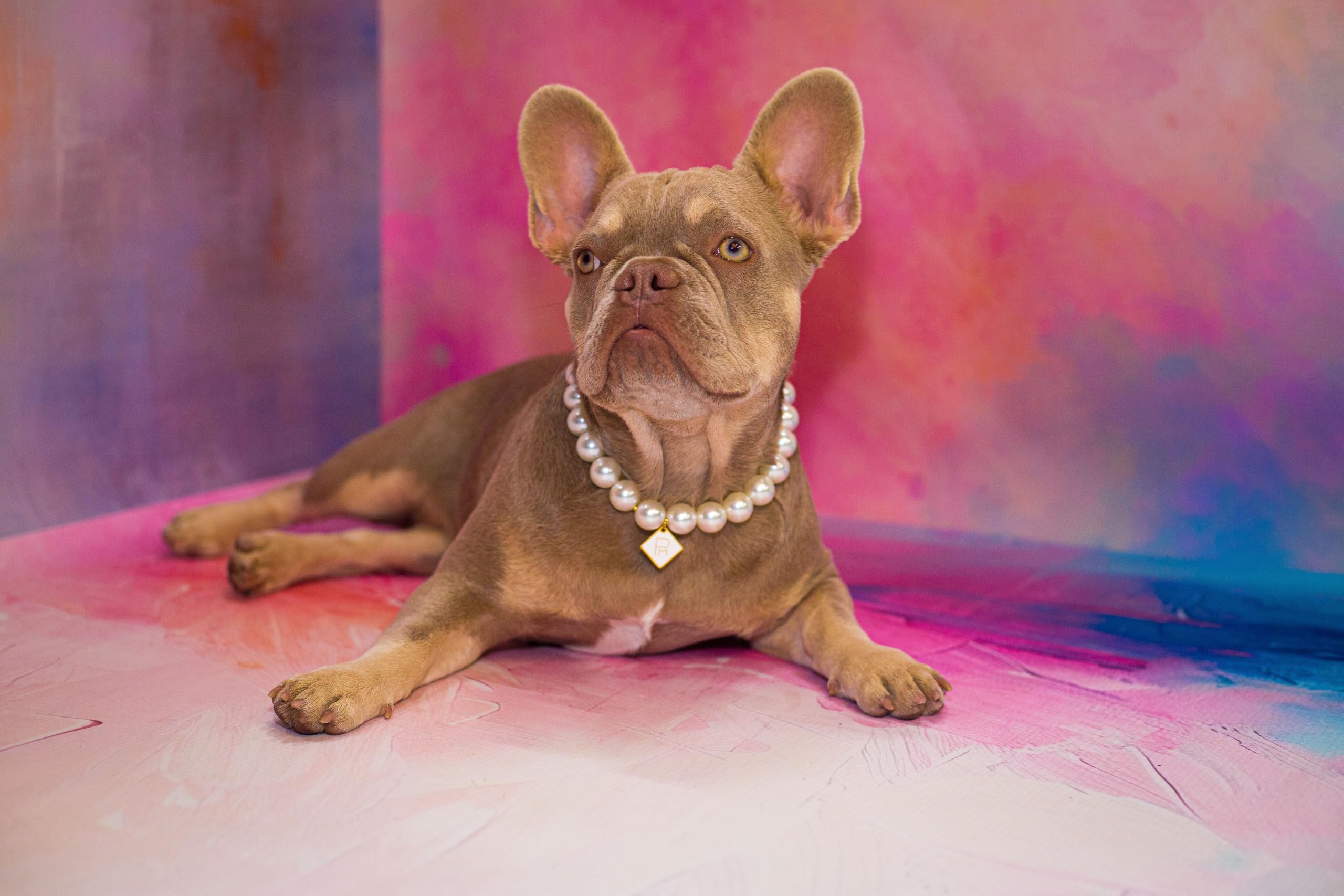 Pooch Mode Dog Pearl Necklace with Charm (X-Small)