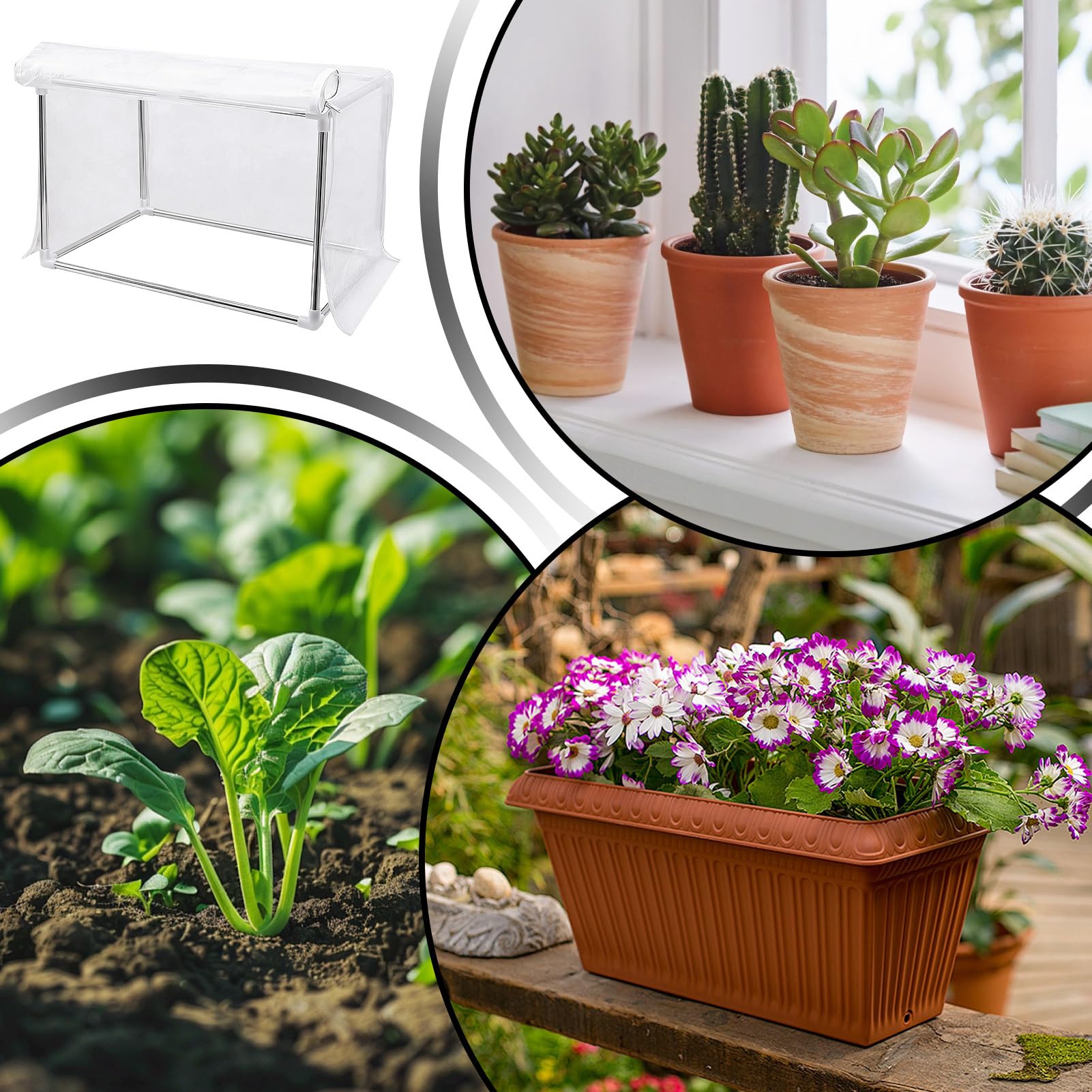 Serra di Piccole Dimensioni per Interni, 60 cm x 30 cm x 30 Tenda Trasparente, Serra da Tavolo Trasparente, Per Il Giardinaggio E La Coltivazione Su Tavolo, Balcone, Giardino, Patio, Inverno, Fiori