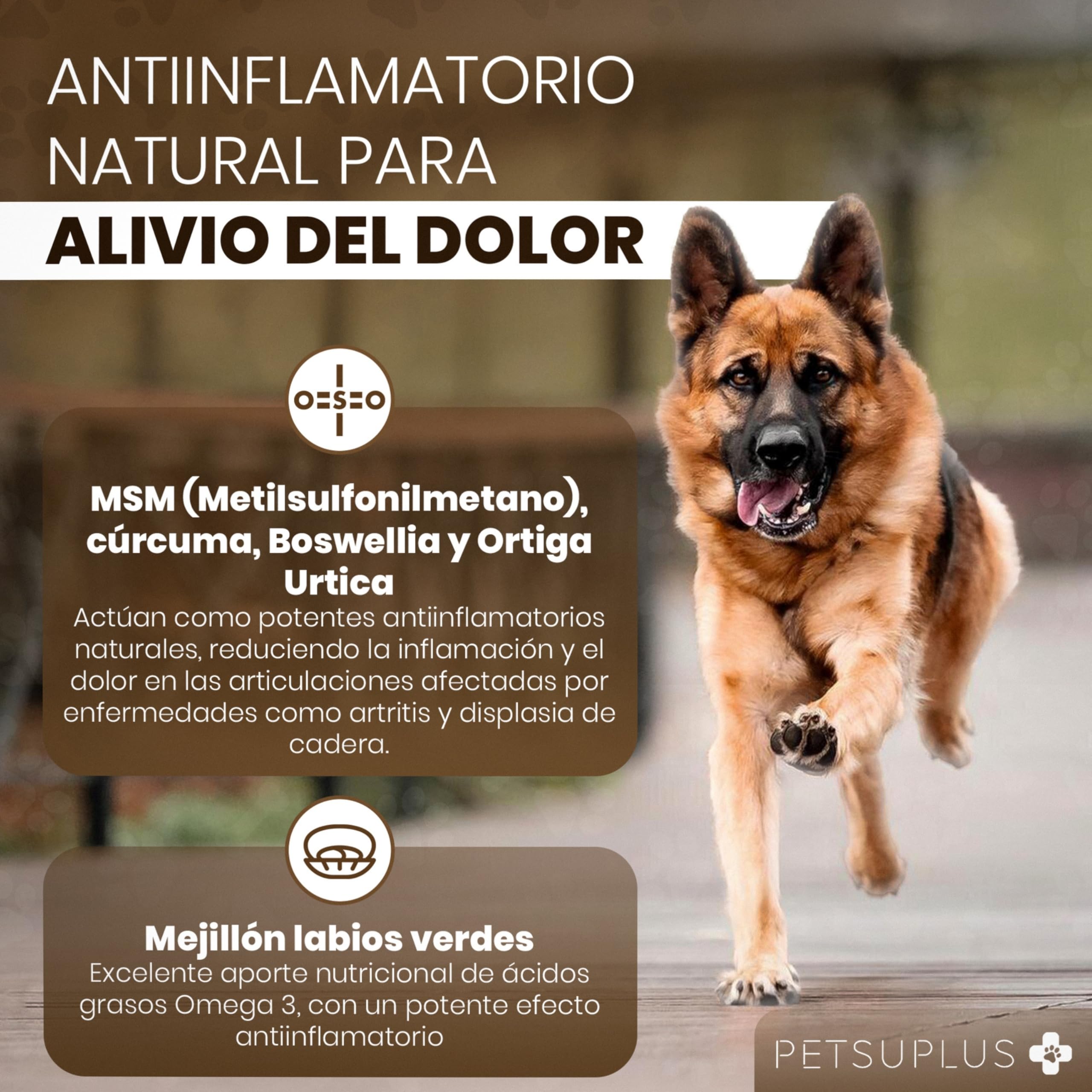 Condroprotector Perros - Glucosamina, MSM, Condroitina, Colageno, Acido Hialuronico - Fortalece los cartilagos y Protege Las articulaciones - Antiinflamatorios Naturales - 120 masticables