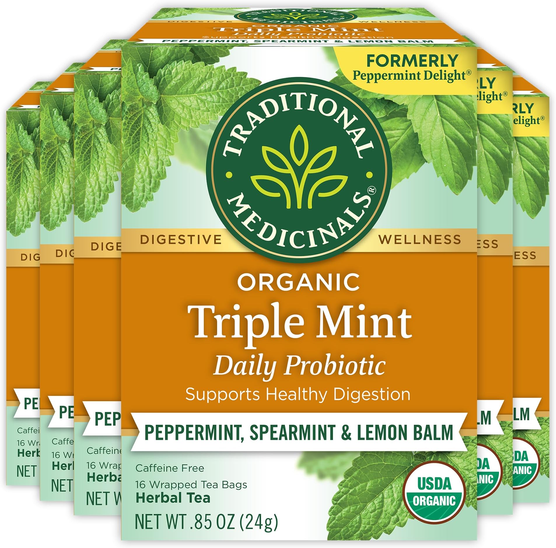 Organic Peppermint Delight Probiotic Tea