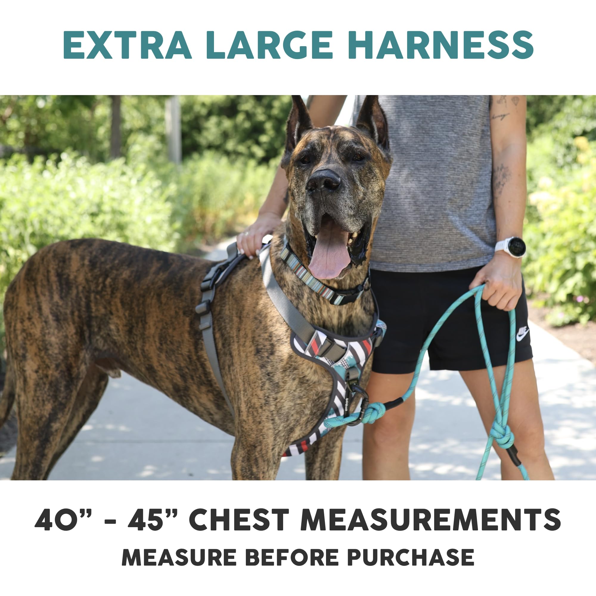 Embark - Arnés Urbano para Perro, arnés para Perro sin tirones con 2 Clips de Correa, arnés para Perro para Perros extragrandes, arnés antitirones Delantero y Trasero con Mango de Control, Ajustable,