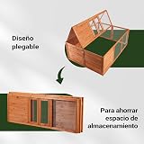 Ver la foto 5