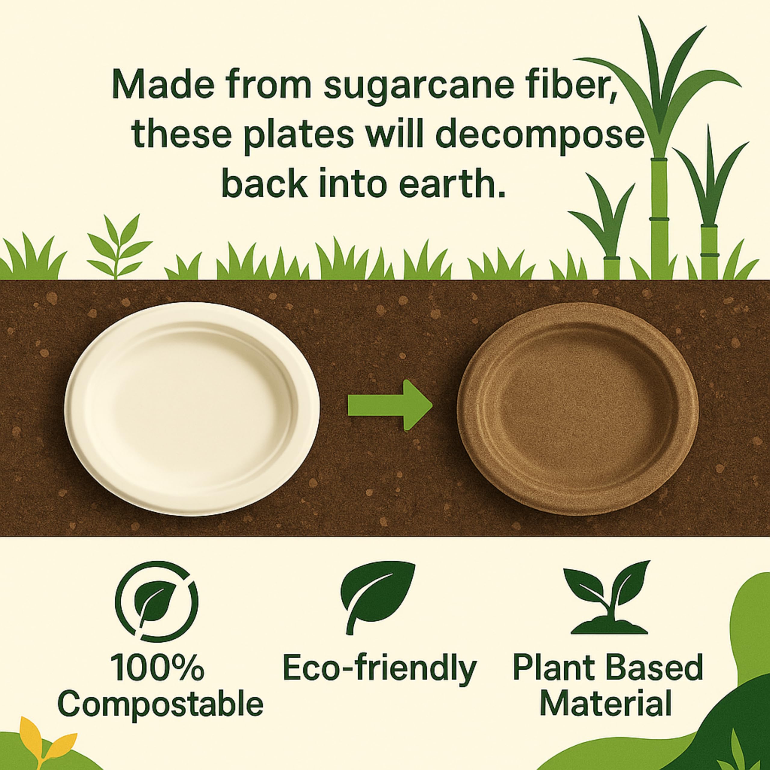 [20 x 26 cm - 125 piezas platos ovalados planos, biodegradables compostables ecológicos de bagazo - desechables, resistentes y reciclables, ideales para fiestas, catering, eventos