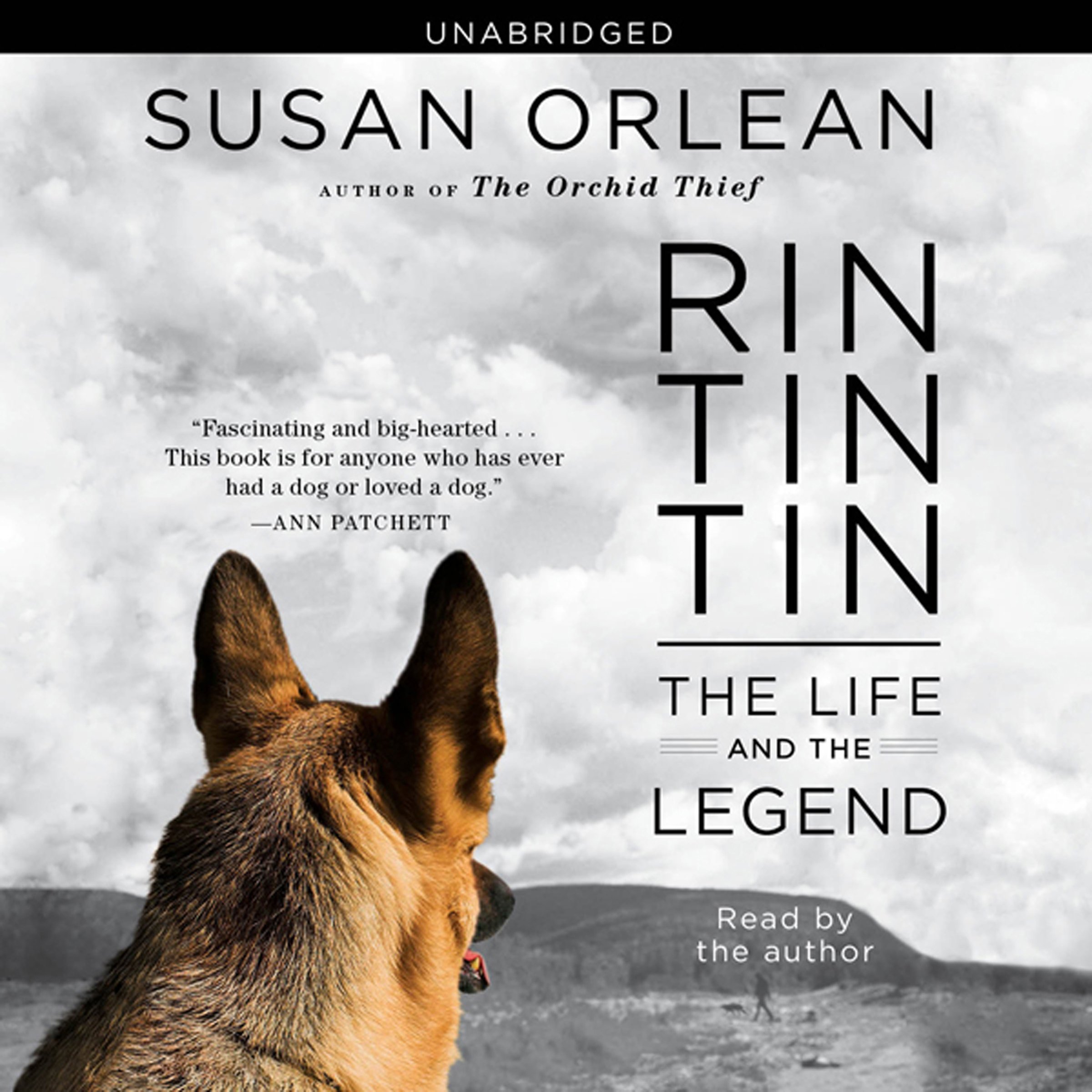 Cover art for Rin Tin Tin