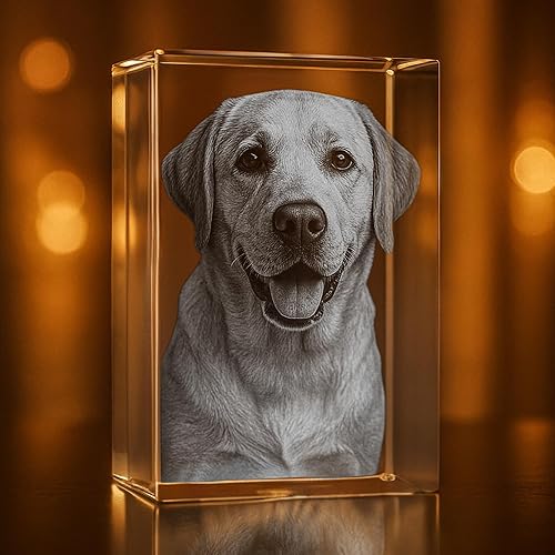 Miniatura 9 de Regalo personalizado de fotos de cristal grabado en 3D para mascotas (rectángulo mediano)