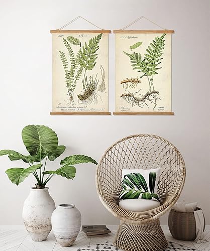 Miniatura 3 de Ovfovy Paquete de 2 pósteres vintage de botánica con marco de madera, estilo retro de pintura artística de pared, póster educativo para sala de