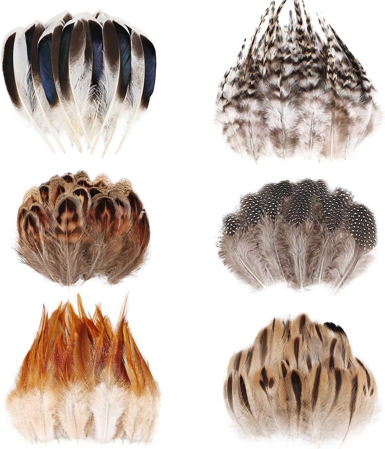 MehelloFeather Natural Pheasant Feathers 6 Style Craft Feathers for Dream Catcher Decoration Craft Natural Mixed Feathers (180Pcs)