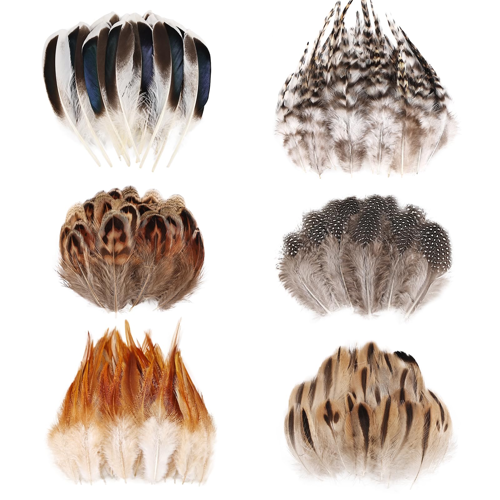 MehelloFeather Natural Pheasant Feathers 6 Style Craft Feathers for Dream Catcher Decoration Craft Natural Mixed Feathers (180Pcs)