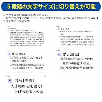 【まとめ売り】中国語会話CD、辞書、ビジネス中国語、中国語通訳ガイド等 計20点 XD-CV730 | CASIO