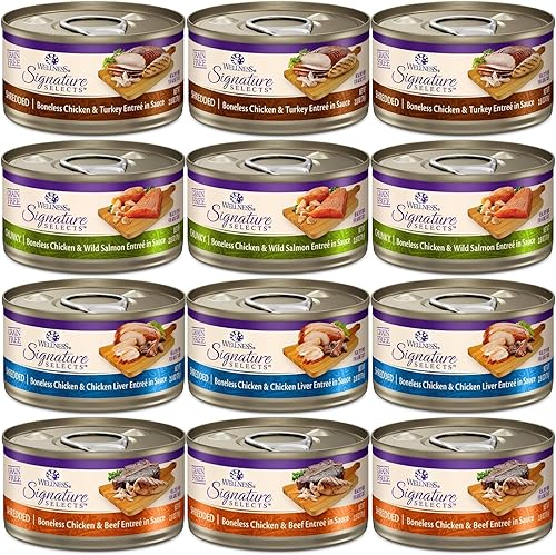 Hotspot Wellness - Paquete variado de alimentos húmedos para gatos sin granos, paquete de 4 sabores (12 latas) con tazón: pollo, hígado, salmón y
