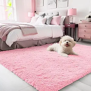 OLANLY 3x5 Machine Washable Small Bedside Rug, Soft Fluffy Shaggy Rugs for Living Room, Bedroom, Indoor Floor Carpet for Kids Girls and Boys, Preppy Dorms, Nursery, Home Decor Aesthetic, Pink