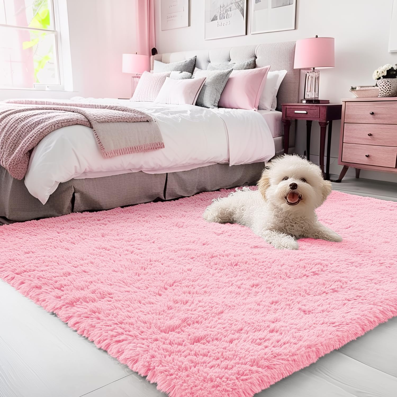 OLANLY 3x5 Machine Washable Small Bedside Rug, Soft Fluffy Shaggy Rugs for Living Room, Bedroom, Indoor Floor Carpet for Kids Girls and Boys, Preppy