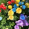 Product Photo 3