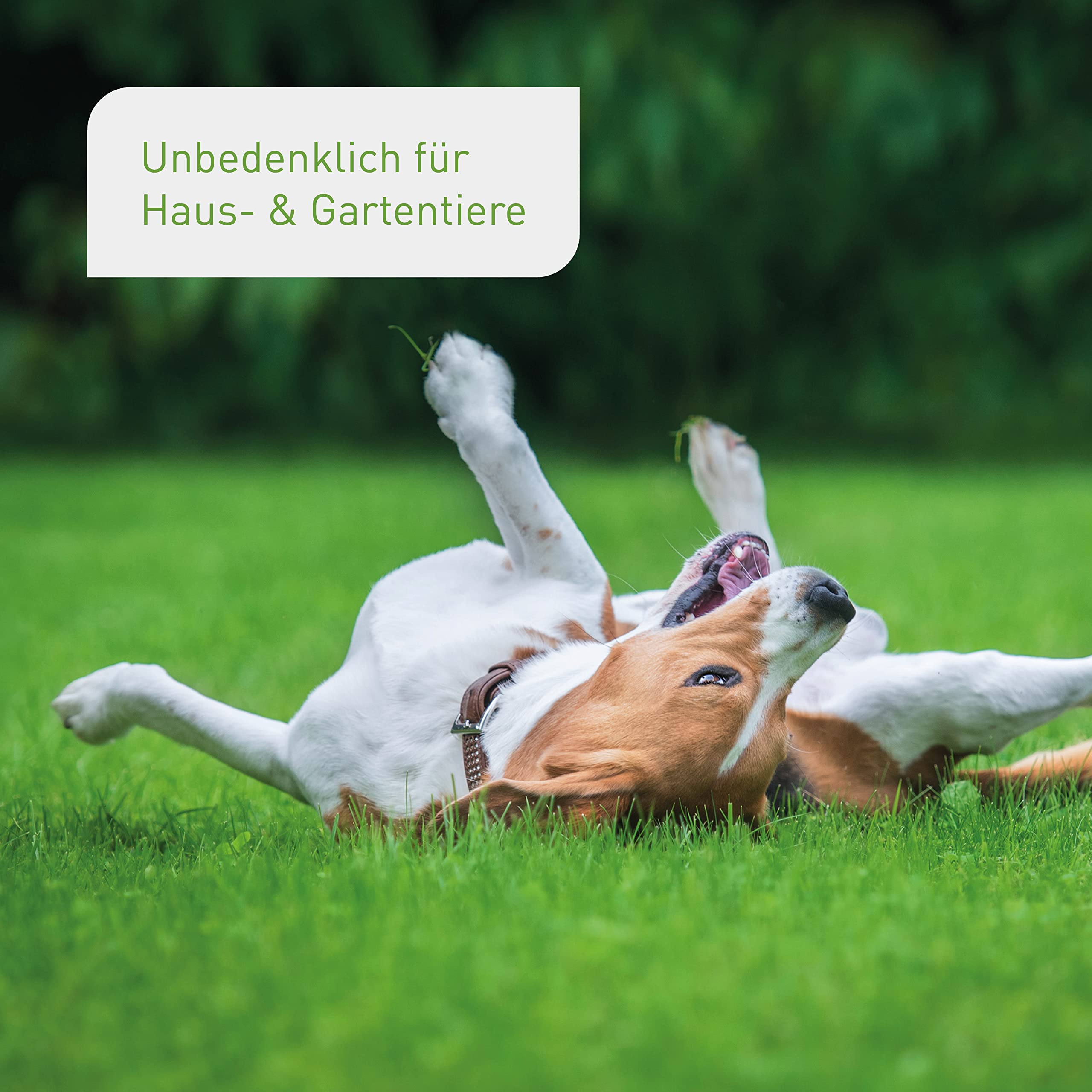Plantura Bio-Rasendünger Frühjahr/Sommer 10,5 kg organischer Langzeitdünger für Rasen