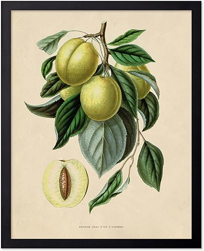 Miniatura 63 de Poster Master Póster de flores vintage, estampado botánico retro, arte floral antiguo, arte de plantas, regalo para hombres y mujeres, gran