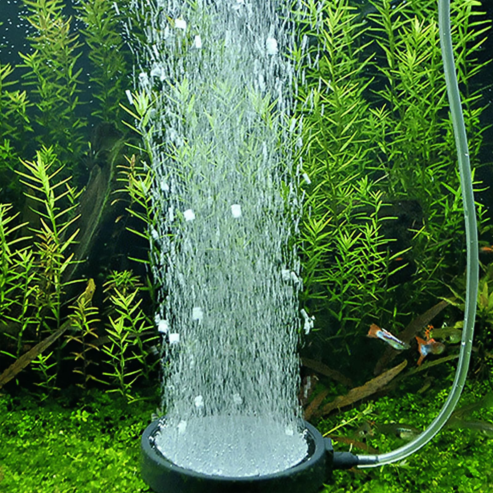 TOYANDONA Pierre à Air pour Aquarium Noir en Sable et Gravier, Disque à Oxygène Haute Température, Accessoire pour Pompe à Air, pour Aquarium et Réservoir de Poissons Couleur Aléatoire