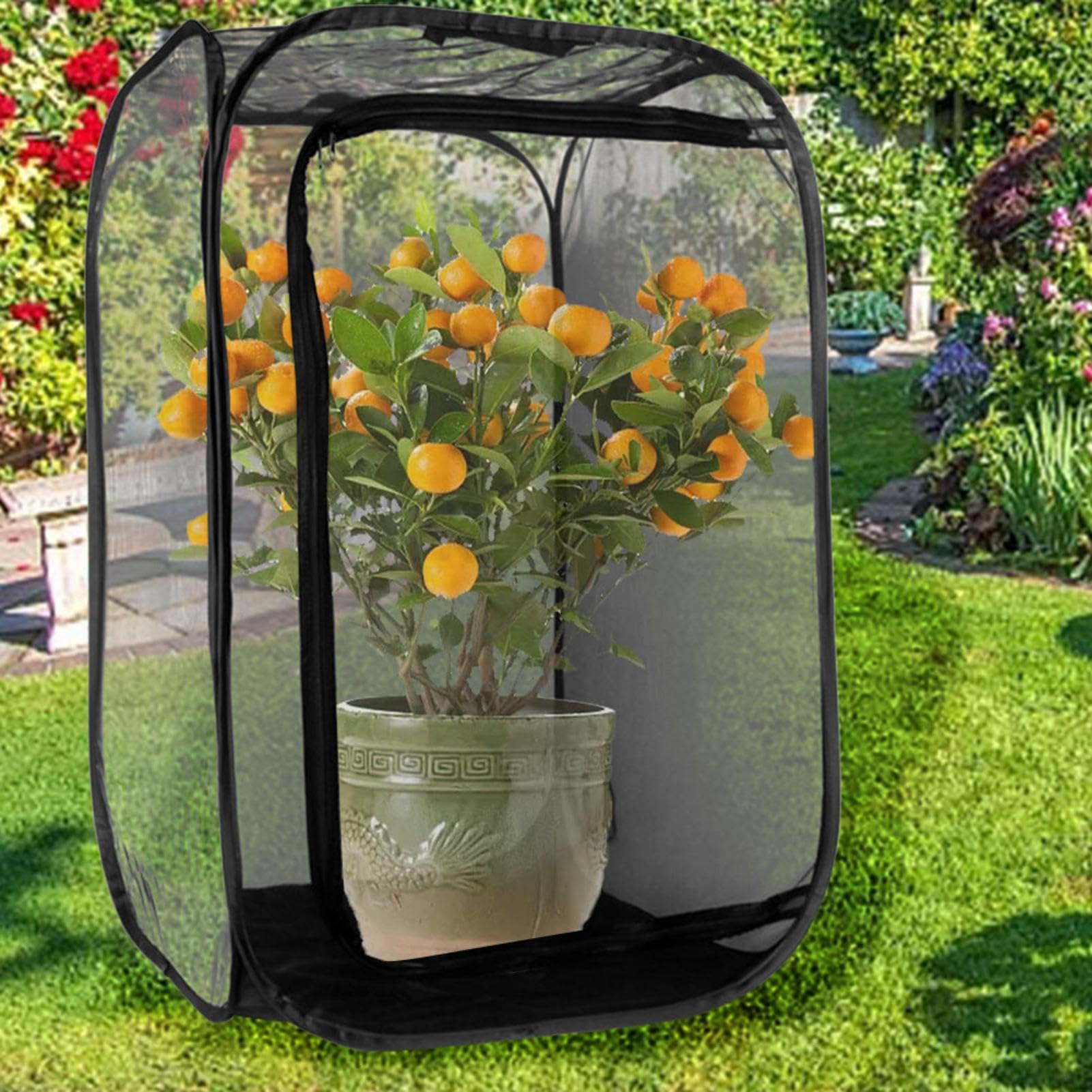 Cage à insectes et papillon - Cage pliable - Portable - Pliable - Terrarium - Filet à papillons pop-up - Cage pour