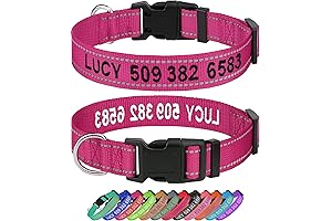 Taglory Customized Dog Collars: Personalized Embroidered ID Collar for Canine Companions