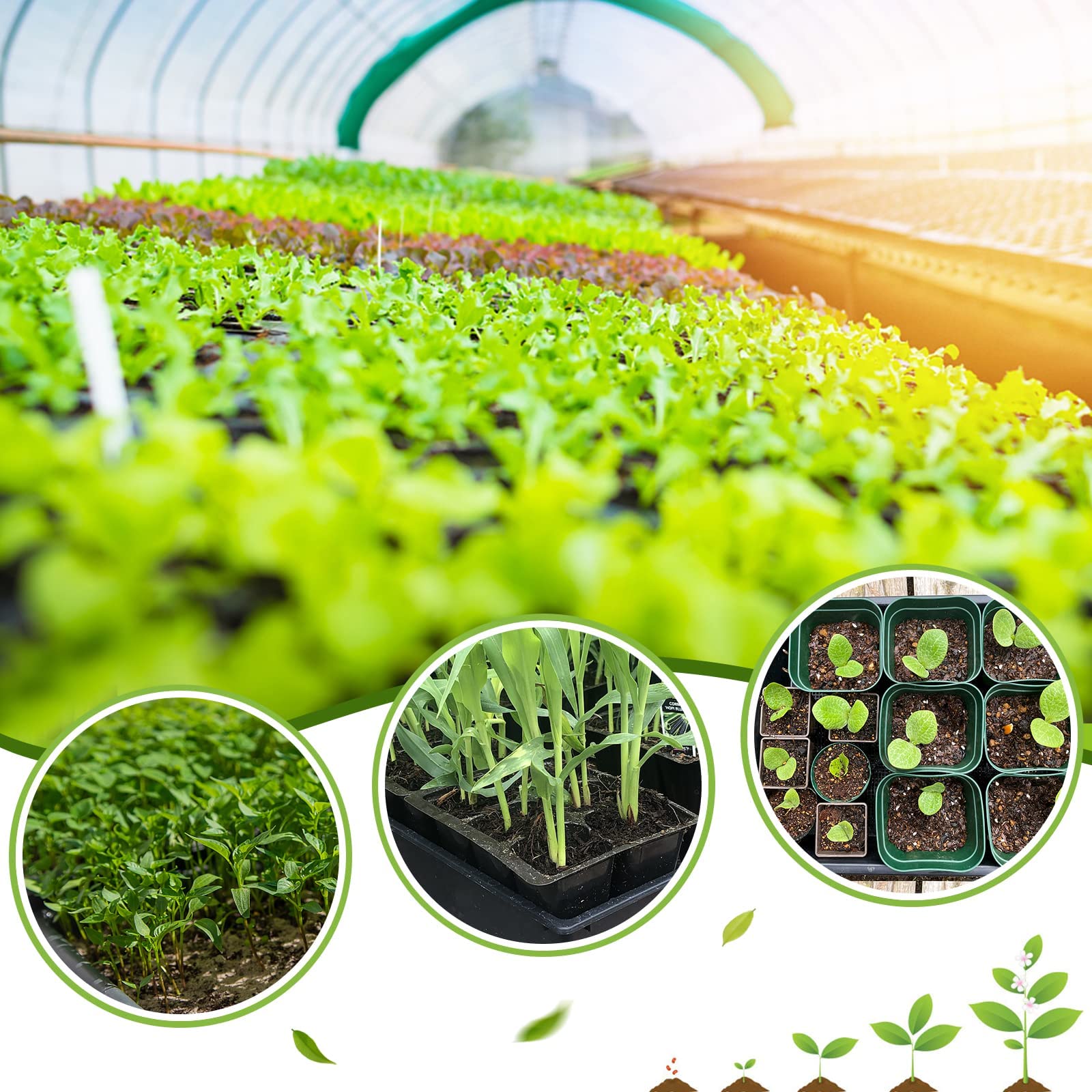 5 Pz Vassoi Semina Plastica Vassoio Coltivazione Propagazione Vassoi Semenzaio Germinazione Senza Fori di Drenaggio per Serra Giardino Verdura Frutta Piante