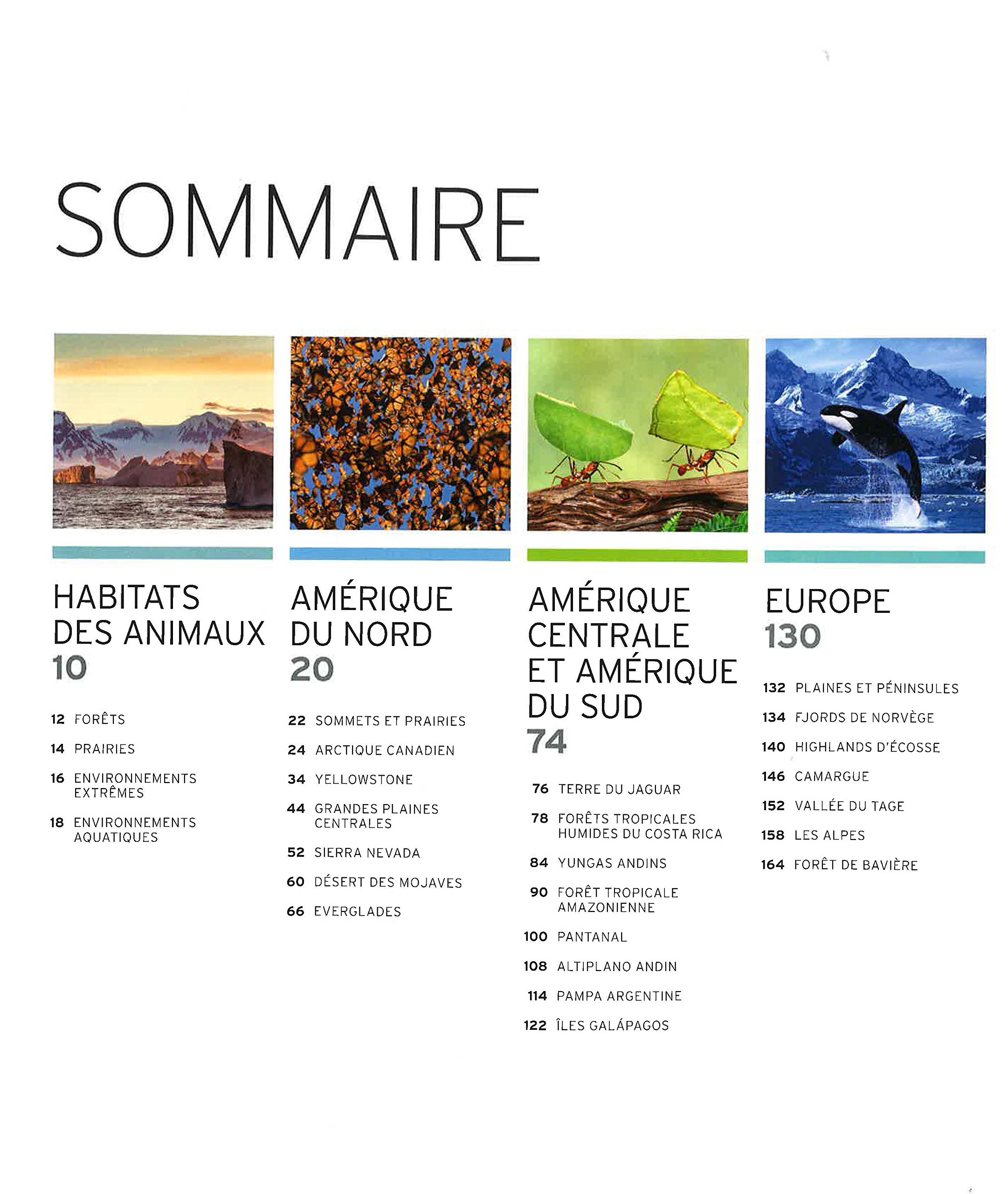 Vie sauvage: Encyclopédie visuelle des animaux, continent par continent