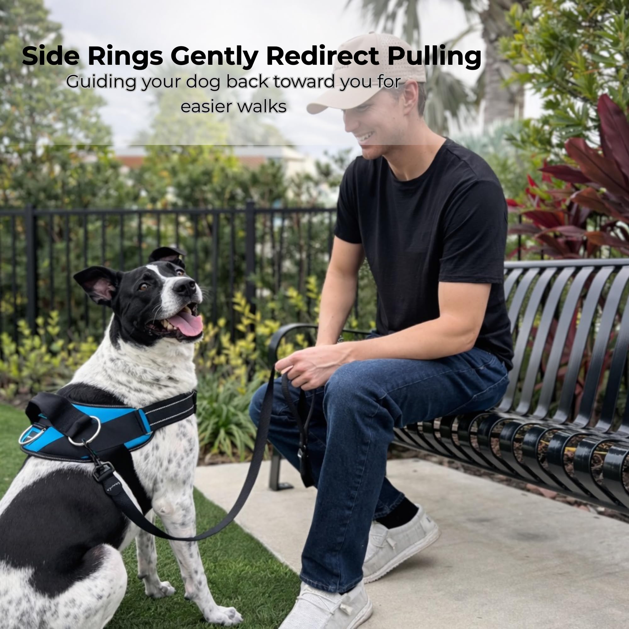 ShawnCo Essential Dog Harness, No-Pull Pet Vest with 3 Leash Clips, No Choke, Reflective, Adjustable and Padded, for Easy Walking and Training for Small, Medium and Large Dogs (Seafoam, M) - image 3