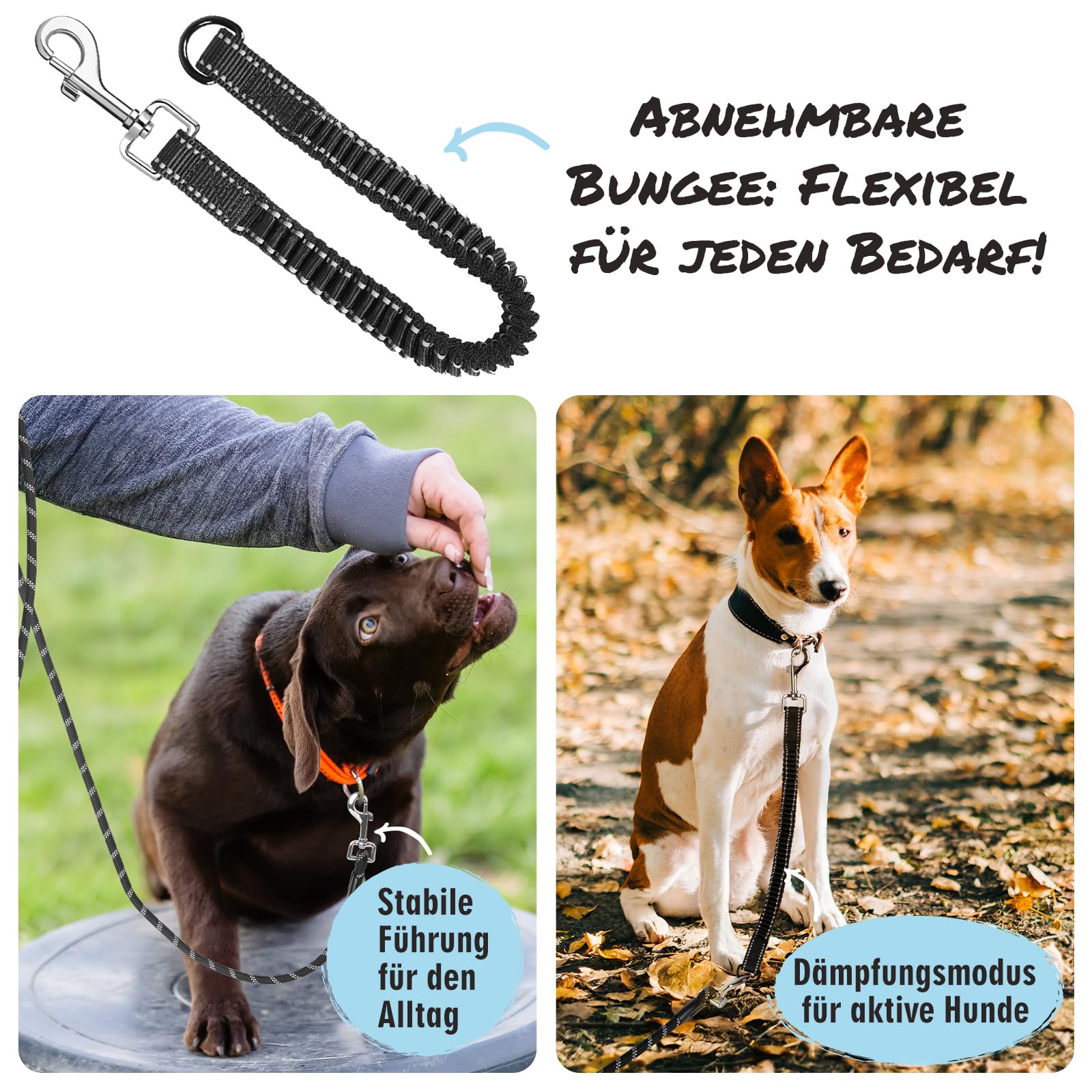 Aystkniet Schleppleine 30M Hundeleine mit Abnehmbare Elastische Kordel | Abschließbarer Haken | Gepolsterter Griff, Langlaufleine Trainingsleine für Mittlere Große Hunde