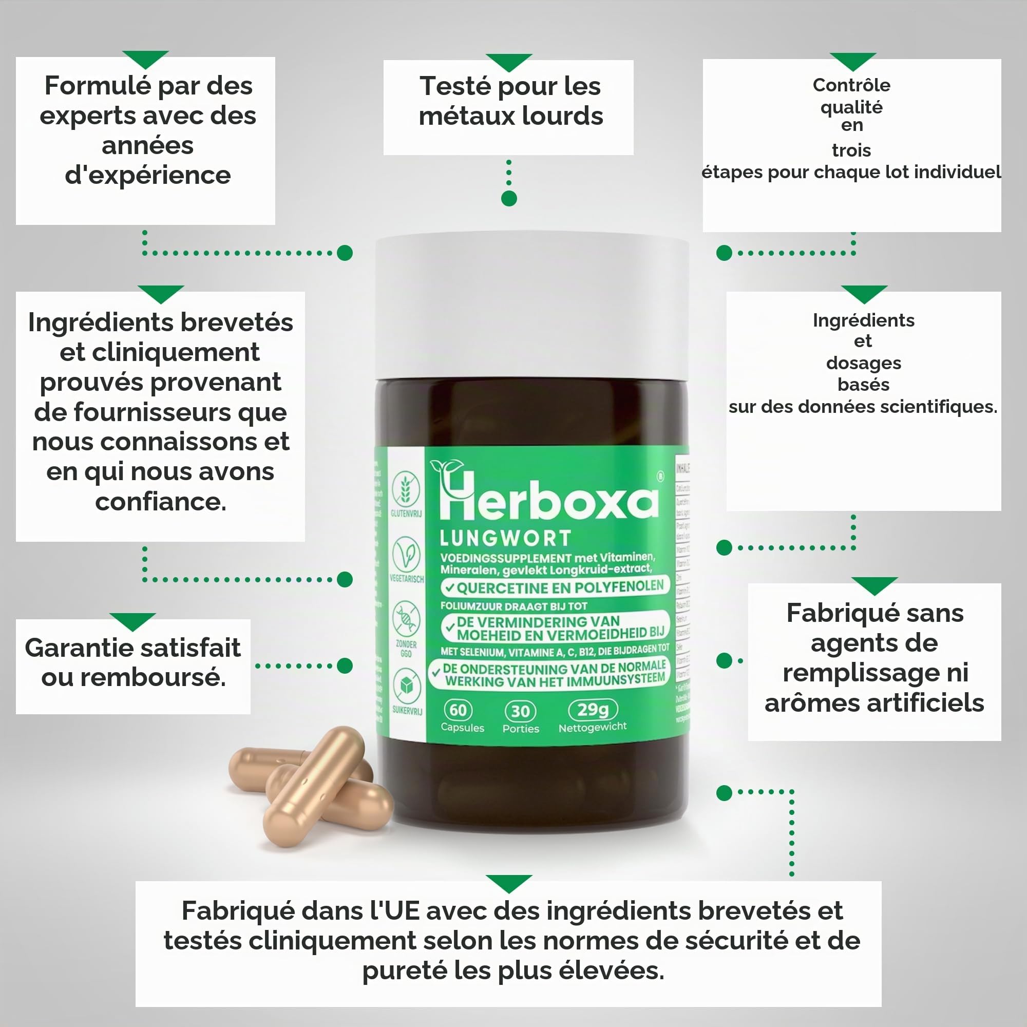 Herboxa Lungwort Pulmonaire Avec 550 Mg De Lungwort Tacheté - Contient De L'acide Folique Pour Réduire La Fatigue Et L'épuisement, De La Vitamine C, Du Quercétine, Du ProG-Phen - 240 Capsules Véganes