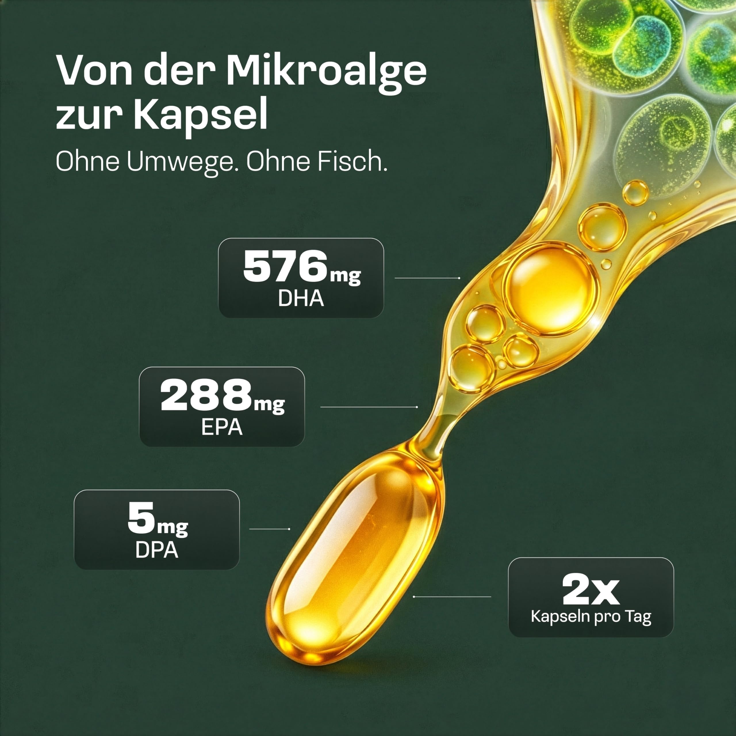 NatuRise® Omega 3 Kapseln Vegan – 1440mg Algenöl pro Tag davon 869mg Omega-3 (DHA, EPA & DPA) – Hochdosiert – 60 Kapseln – Laborgeprüft – Triglycerid-Form – UV-geschützt – Fischöl Alternative