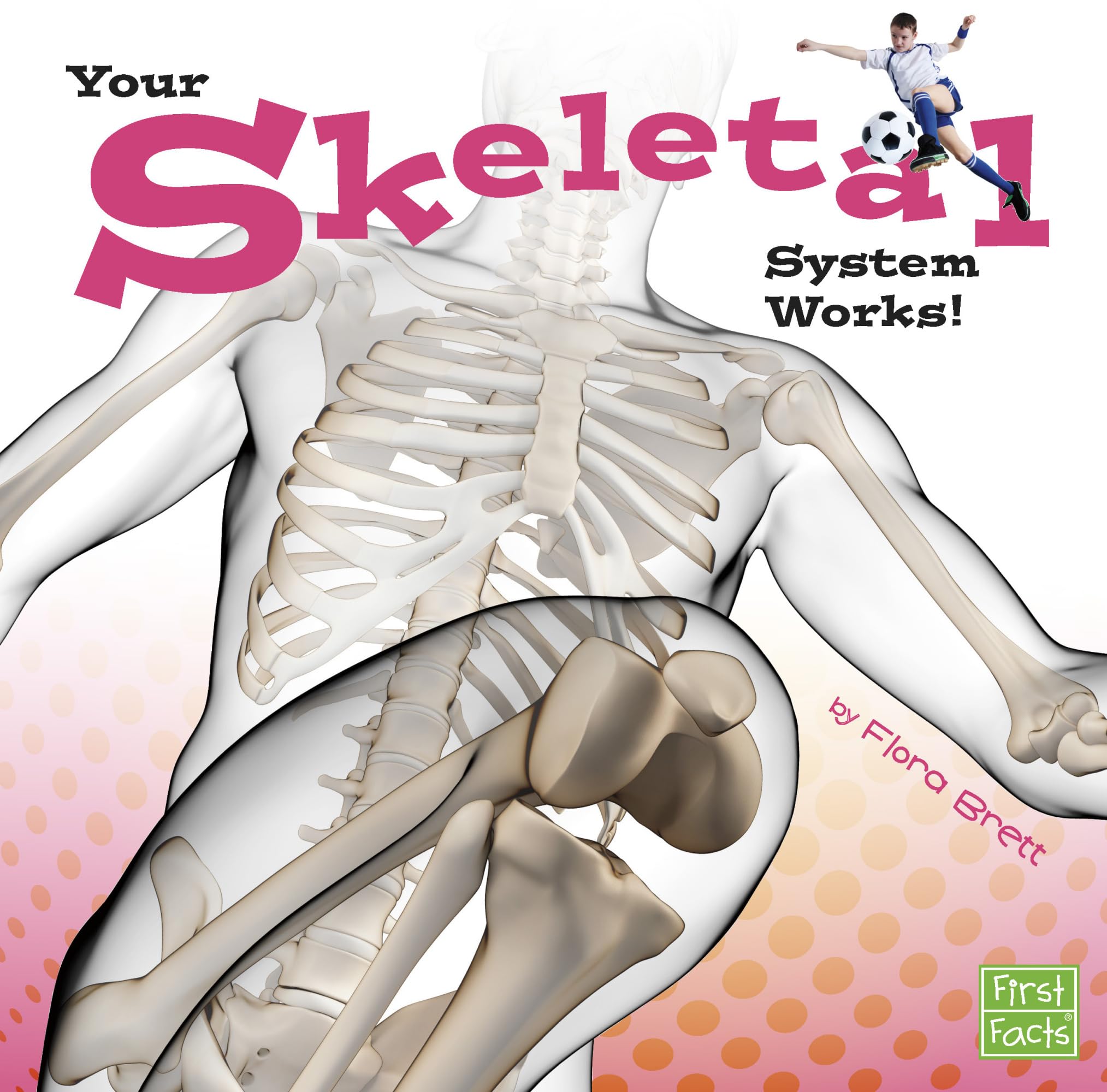 Your Skeletal System Works! (Your Body Systems)