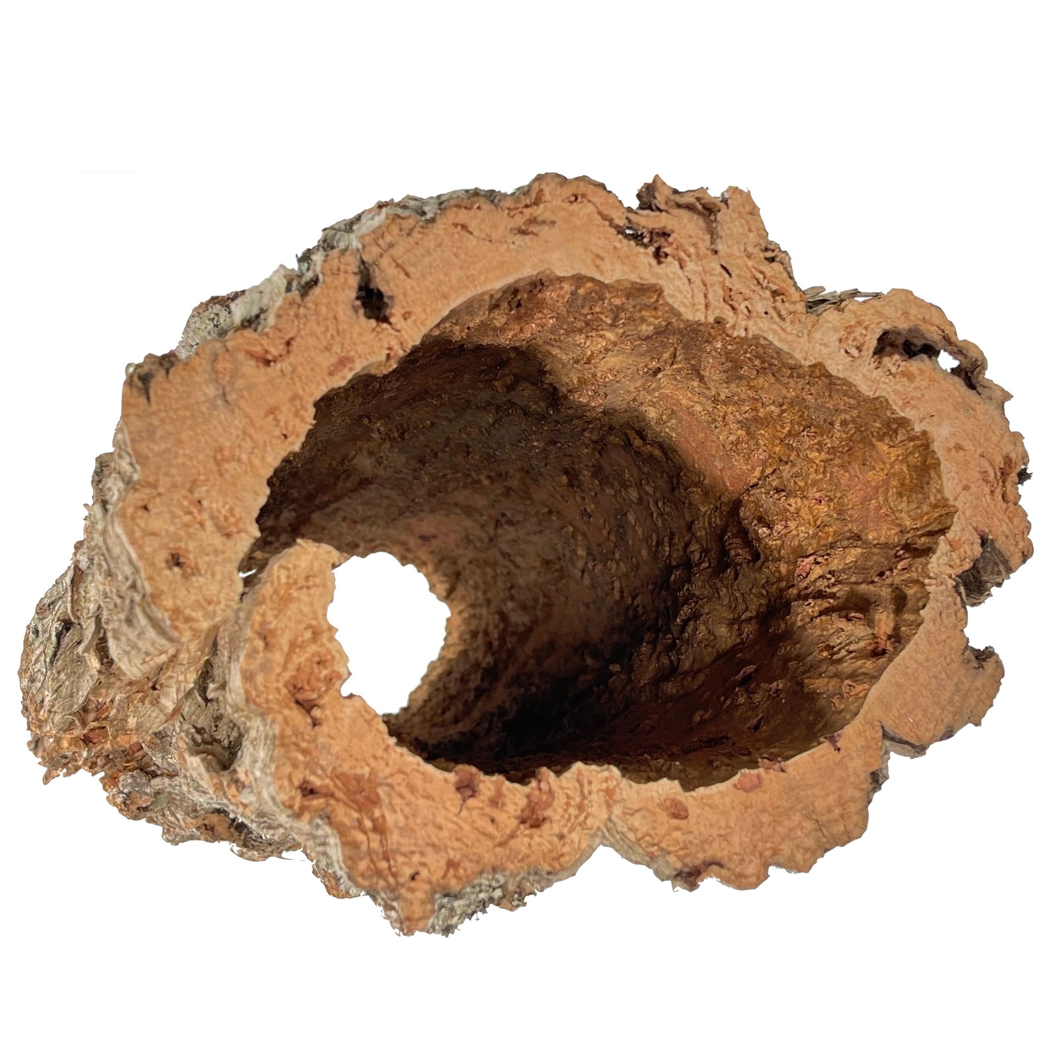 Korkrinde für Terrarien oder als Deko Mind. 40 - max. 70 cm lang; Außendurchmesser: ca. 20-30 cm