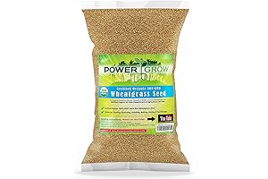 Wheatgrass Seed: PowerGrow Systems for Flour, Baking and Sprouting