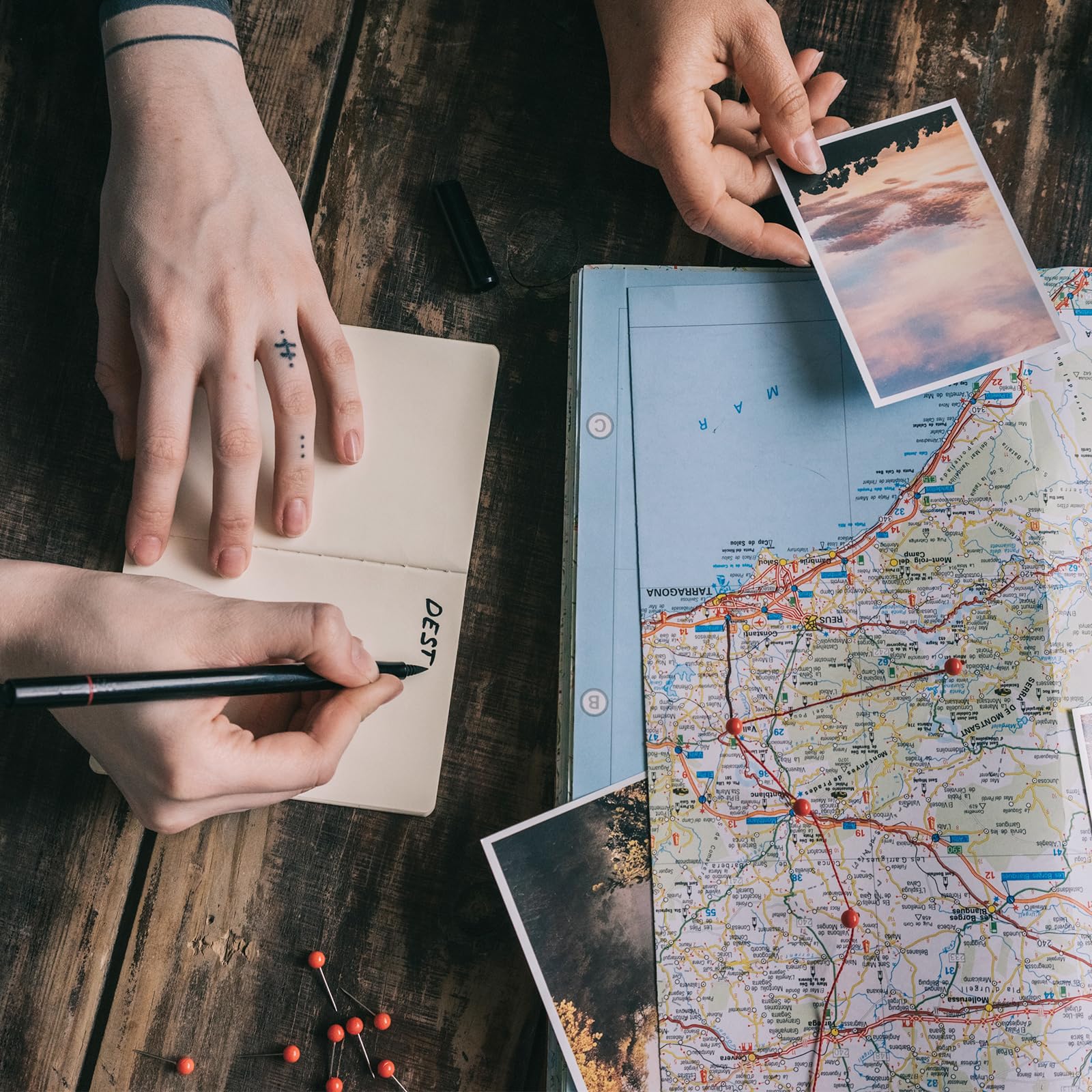 Map Push Pins Colored Push Pins Map Tacks Map Marking Pins Round Head