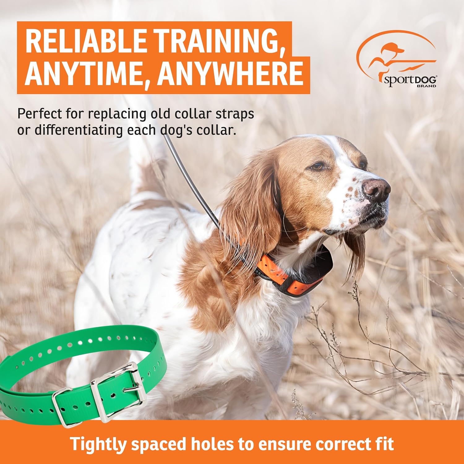 SportDOG Replacement 1" Collar Strap - Green image 2