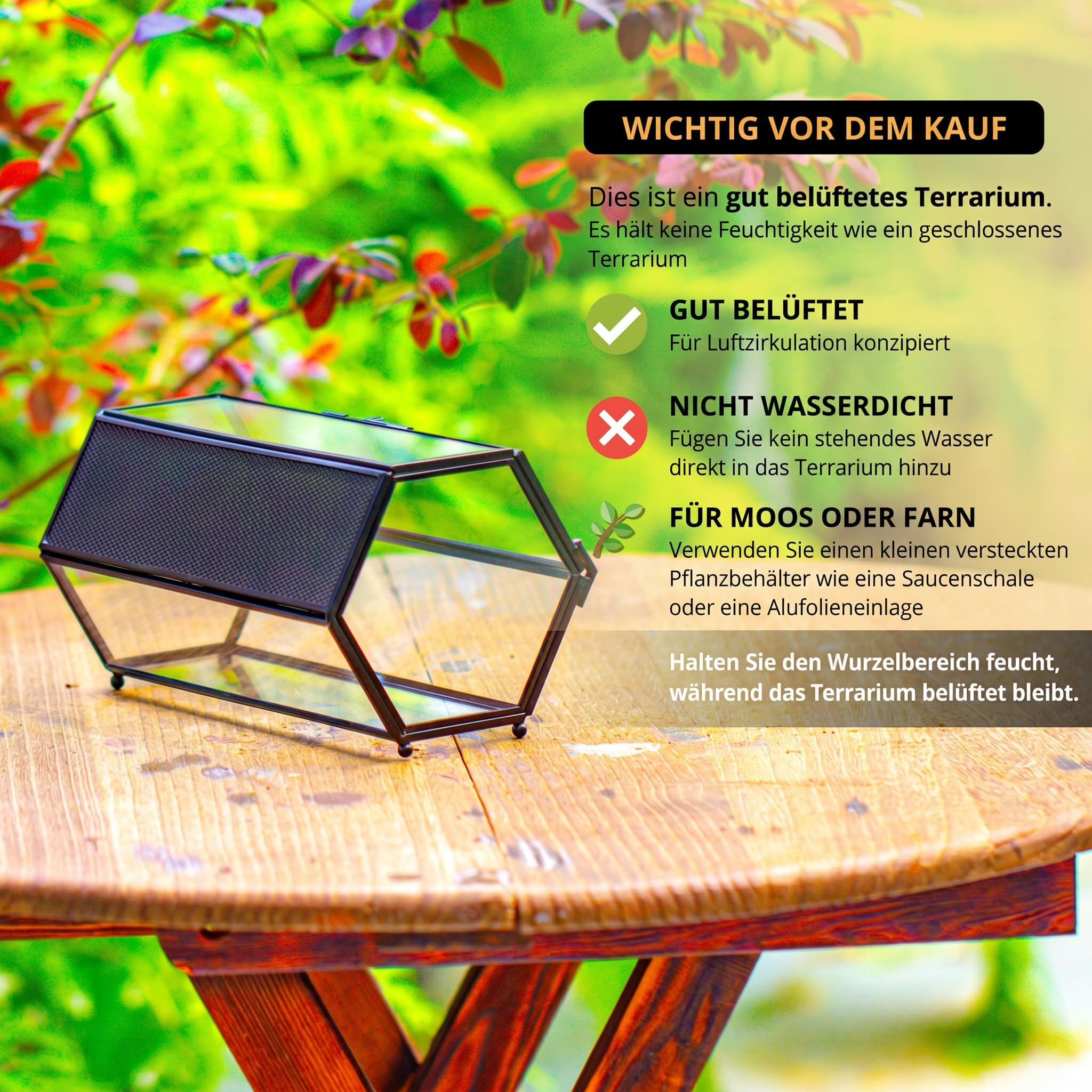 NCYP 20x11,5 x10 cm Mini Glasgehege mit Netz und Tür für springende Spinnen, Kleiner Insekten, Lebensraum sechseckiges Sukkulenten Terrarium, Schwarz Innendekoration (Ohne Pflanzen)