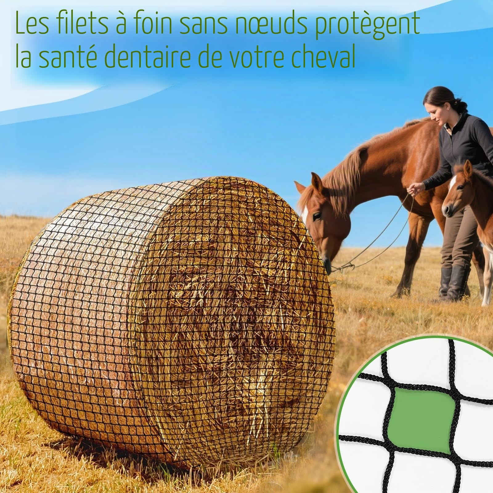 LIROPAU Filet à Foin Rond - Diamètre : 180 cm - Hauteur : 180 cm | Filet à nourriture à mailles serrées, Résistant à l'usure, Diamètre de la balle ronde, Dimensions des mailles : 4,5