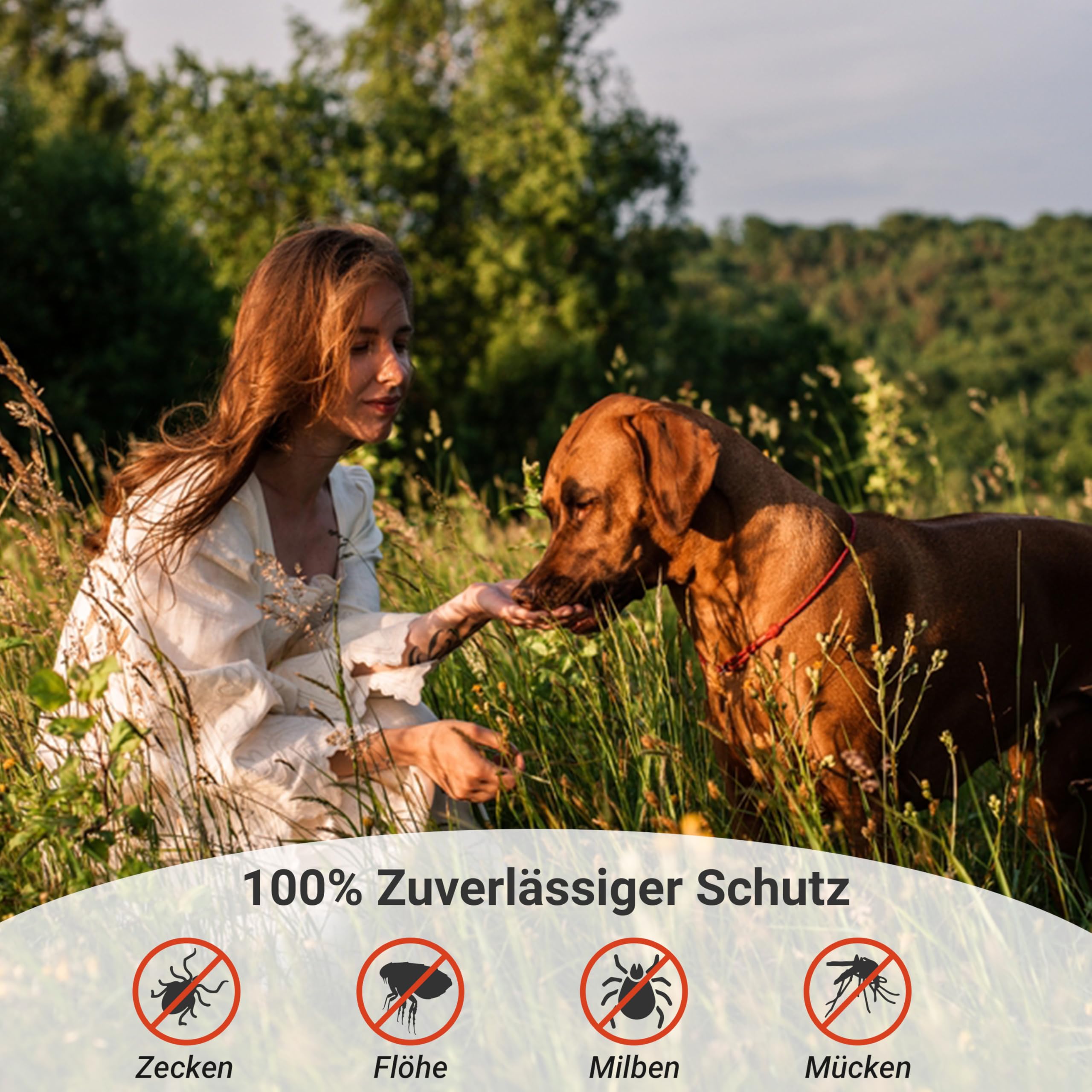 Animal Vita® Spot on para perros [suministro anual] Remedio para garrapatas para perros, fiable protección contra garrapatas con aceite de coco orgánico y margosa, punto natural contra garrapatas