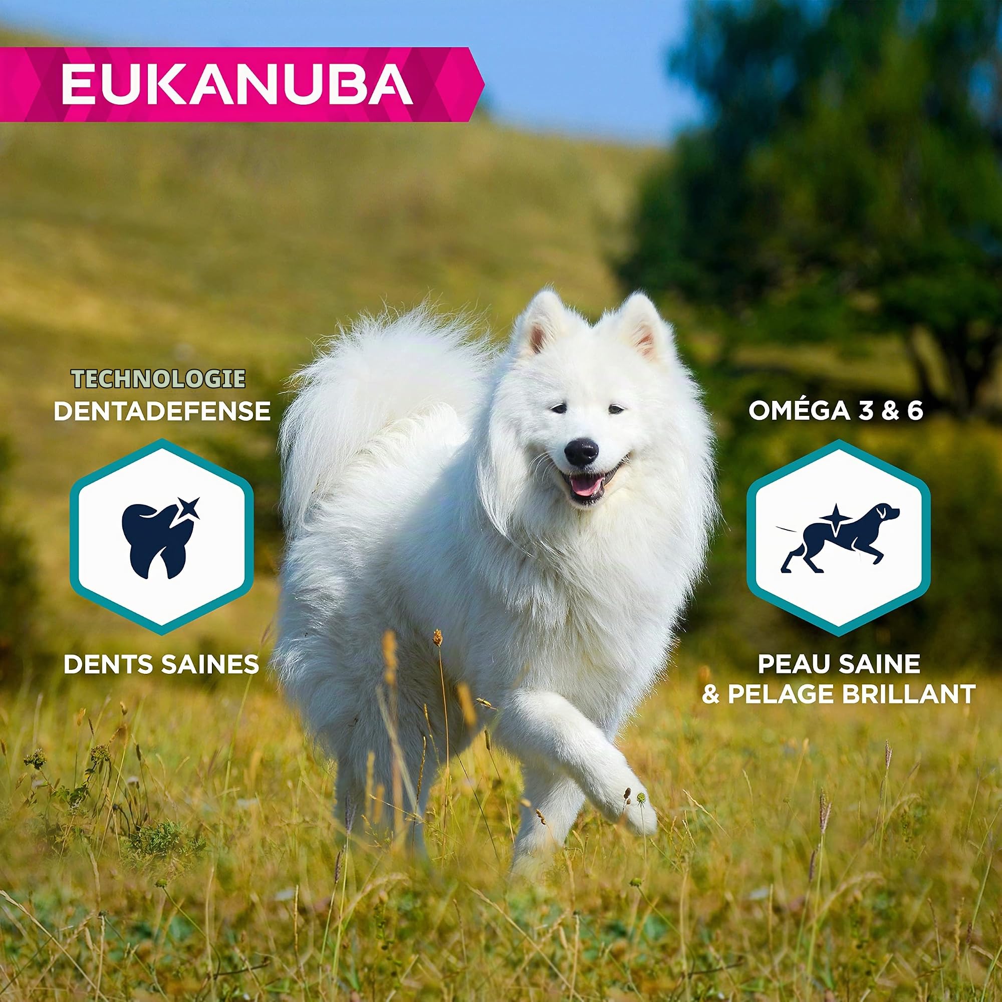 EUKANUBA Chien Sans Céréales Adulte Petites et Moyennes Races Riche en Poissons 12kg