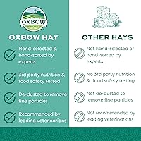 Vista 3 de Oxbow Western Timothy Hay para Mascotas Pequeñas – Heno de Hierba Totalmente Natural para Conejos, Cobayas y Chinchillas – Alto en Fibra