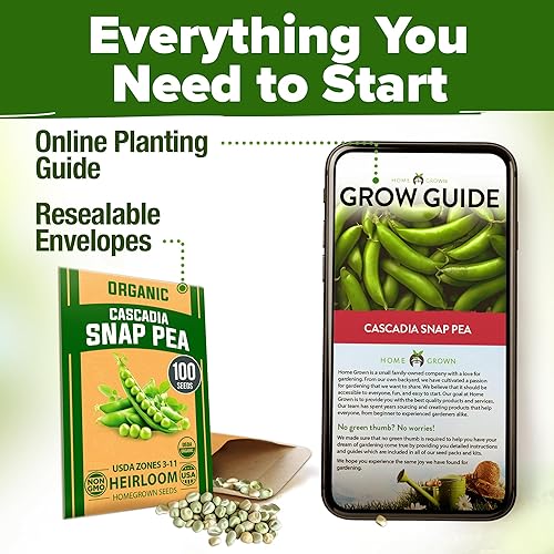 Miniatura 9 de HOME GROWN - Semillas de guisantes para plantar - Variedad cascadia orgánica de reliquia - 100 semillas de vegetales sin OMG - Cultivo de temporada