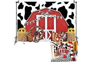 Rustic Red Barn Door Photo Backdrop