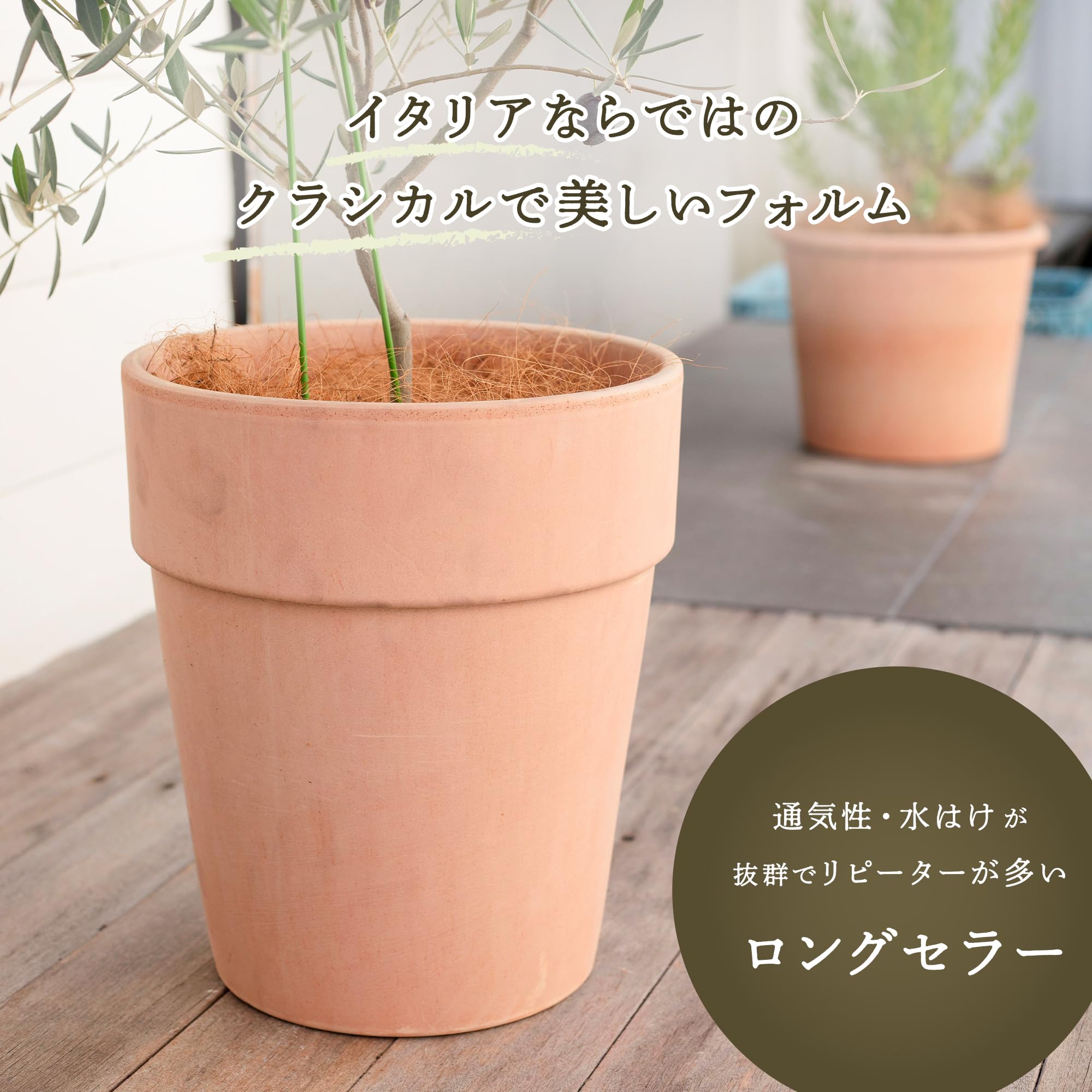 Amazon.co.jp: 植木鉢 イタリアンテラコッタ アルト アリーナ M 8号