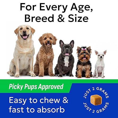 Miniatura 5 de BARK&SPARK Probióticos para perros Salud digestiva con enzimas – Tratamiento de gases para la diarrea alivio del estómago – Alergia y picazón