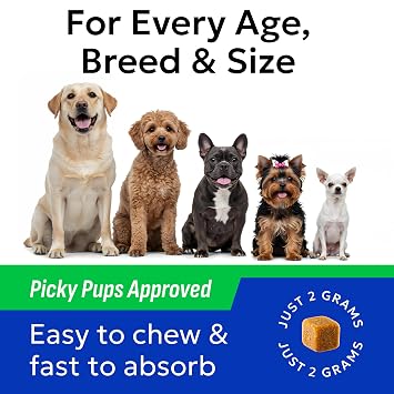 BARK&SPARK Probiotics for Dogs Digestive Health w/Enzymes - Diarrhea Gas Treatment Upset Stomach Relief - Allergy & Itchy Skin - Pet Dogs Probiotics - Digestion Supplement Treat (120Ct Chicken)