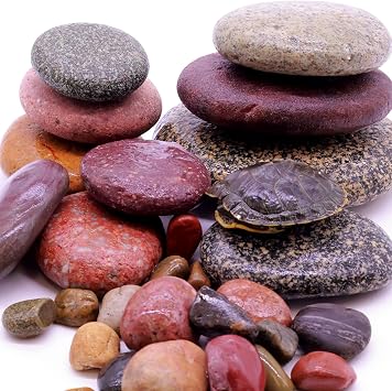 River Rocks Decorative Ornamental Pebbles, Garden Landscaping Stones, Gravel Filler for Plants, Vases, Succulents, Home Decor