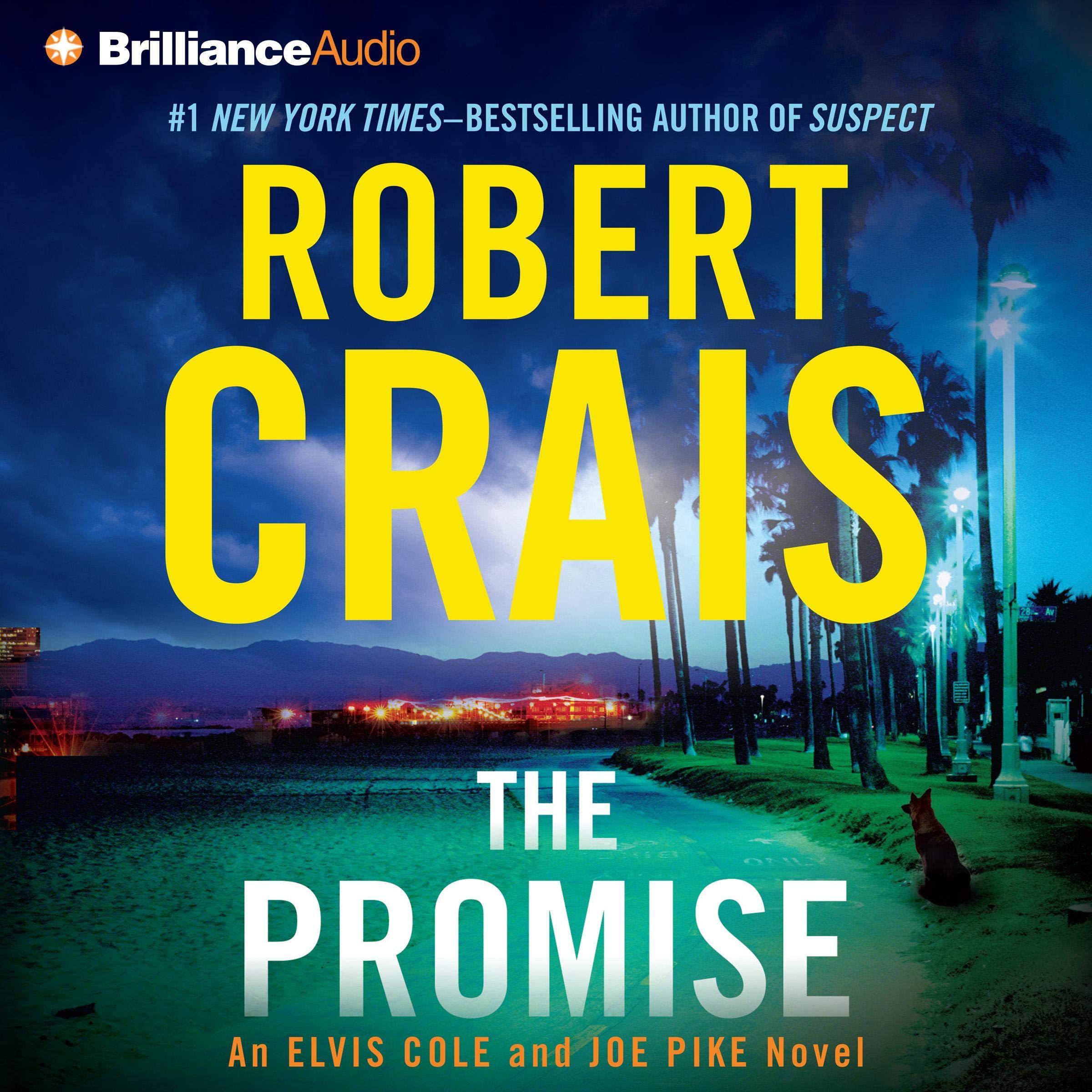Cover art for The Promise