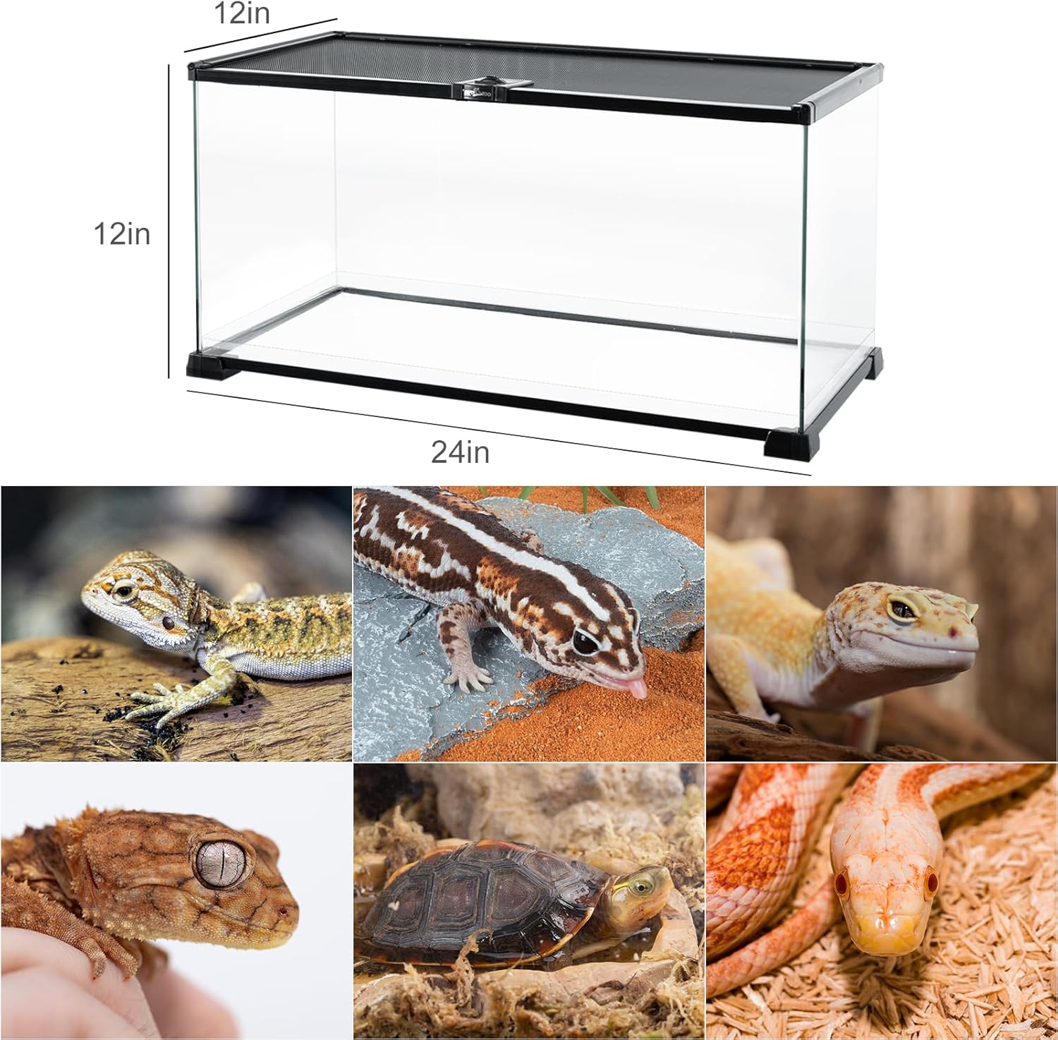 REPTI ZOO Full Glass 15 Gallon Reptile Tank, Medium Reptile Terrarium 24" X 12" X 12" for Gecko Hermit Crab Hognose Snake etc, Top Screen Ventilation & Feeding