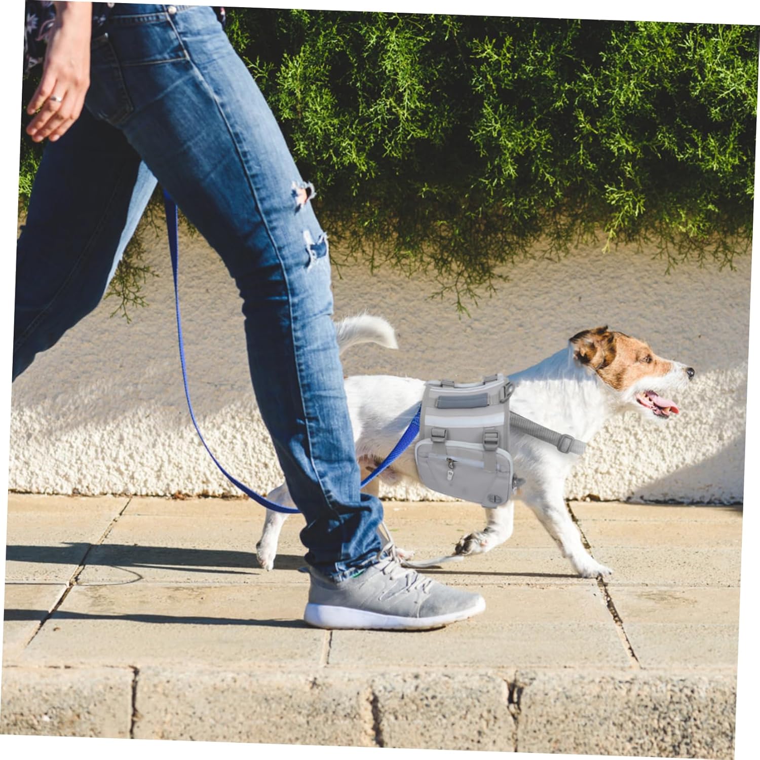 Backpack for Dogs Pet Backpack Large Capacity Dog Carrier Bag Outdoor Harness Pet Accessory