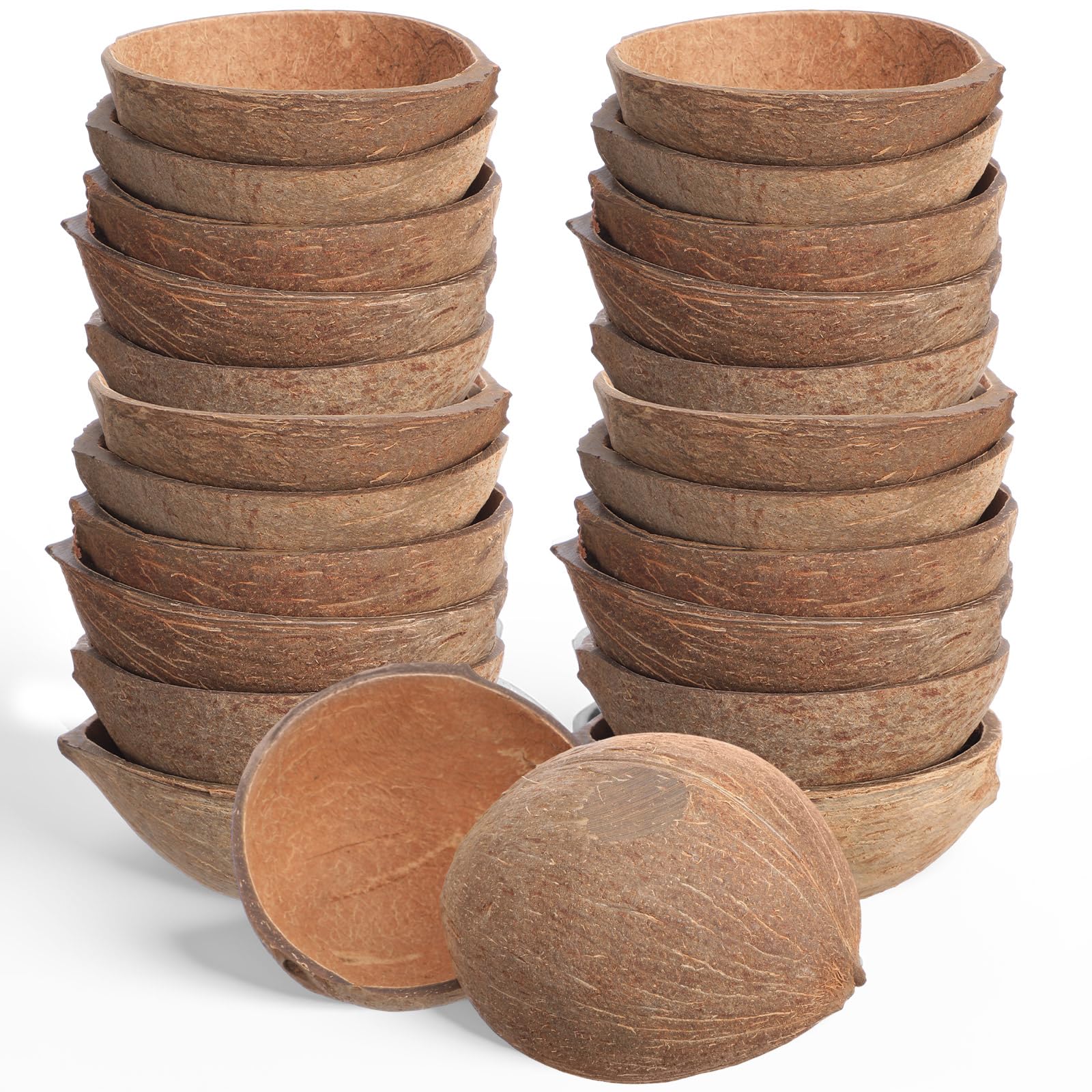 Photo 1 of LemonRoad 24 Pcs Natural Coconut Shell Bowl Halves About 2/5 The Size of a Coconut Smooth Bottom for Easy Standing Craft Material Flower Pot Aromatherapy Arrangement Ornament (Non Hairy)