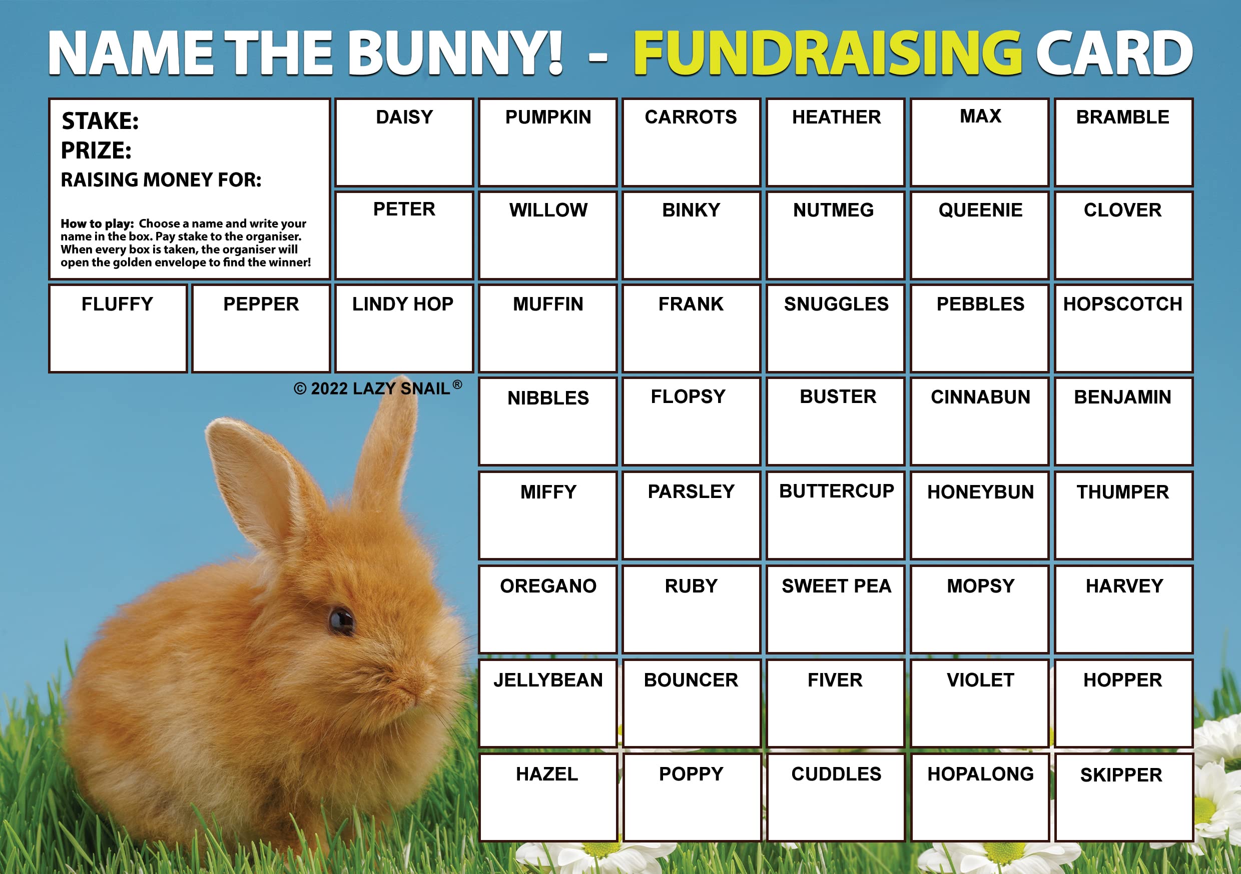 Lazy Snail 'Name the Bunny' Fundraising Cards Pack of 8 Cards 45