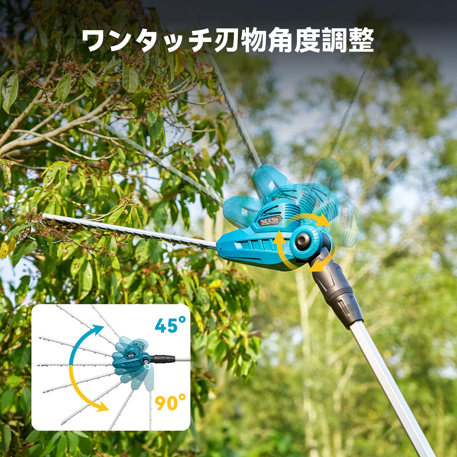 Amazon.co.jp: Seesii
